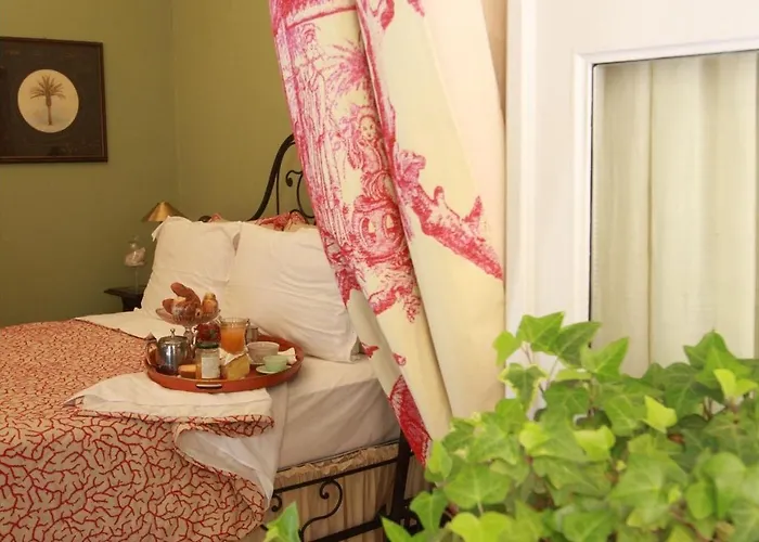 Bed and Breakfast Casa Dellatorre Alba 
